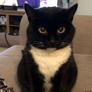 Meet your Posher, Maggie